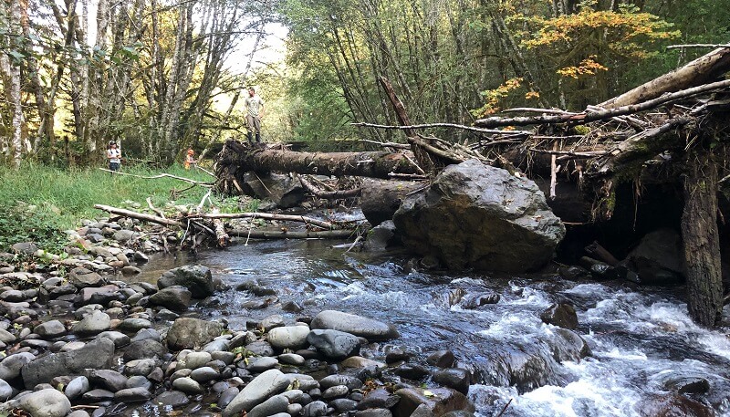 An instream fish habitat project including large woody debris and boulders, implemented by the Lower…